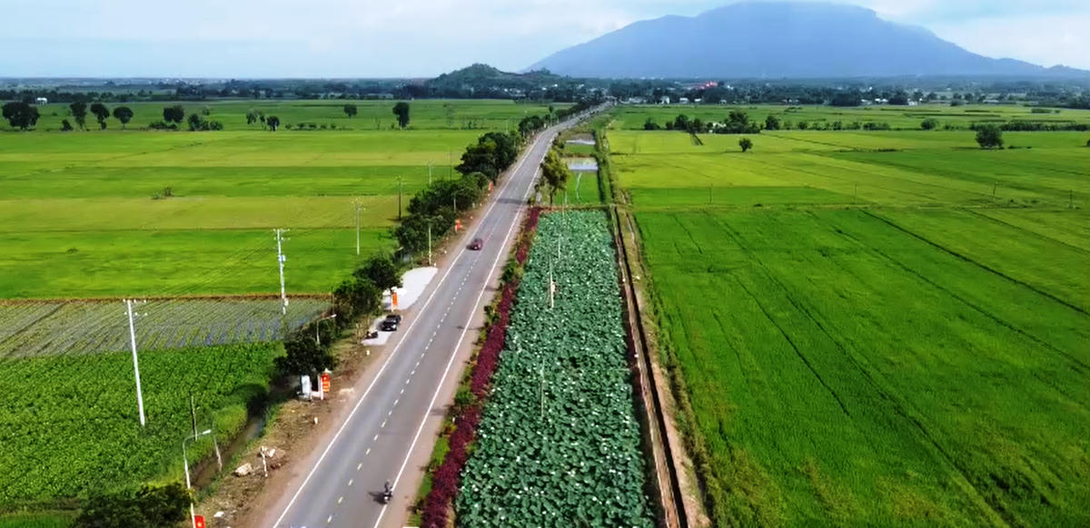 Cánh đồng sen hồng nằm ở ấp Đông Minh, xã Lang Minh ngay cạnh đường ĐT765 nối huyện Xuân Lộc (Đồng Nai) với huyện Châu Đức (Bà Rịa-Vũng Tàu). Cách quốc lộ 1A khoảng 5km. Ảnh: Mạnh Thìn.