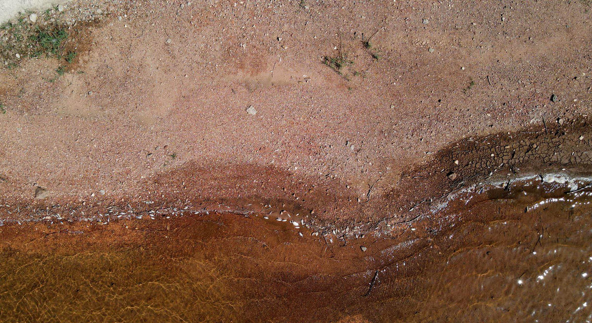 Cá chết hàng loạt tại hồ cấp nước sinh hoạt cho thành phố Hà Tĩnh