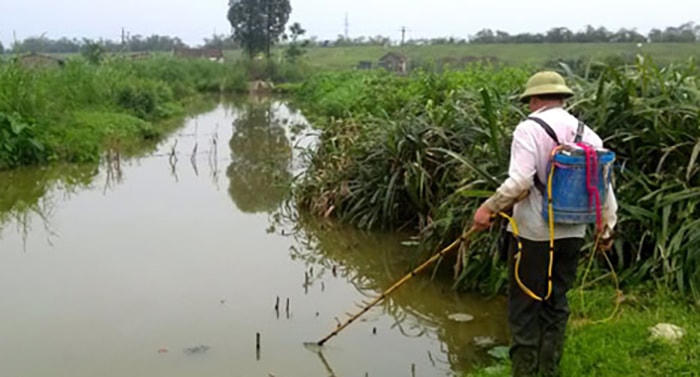 Tỉnh Bà Rịa – Vũng Tàu đang tăng cường triển khai thực hiện việc ngăn chặn tình trạng sử dụng điện, chất độc, chất nổ, nghề và ngư cụ cấm để khai thác thủy sản.