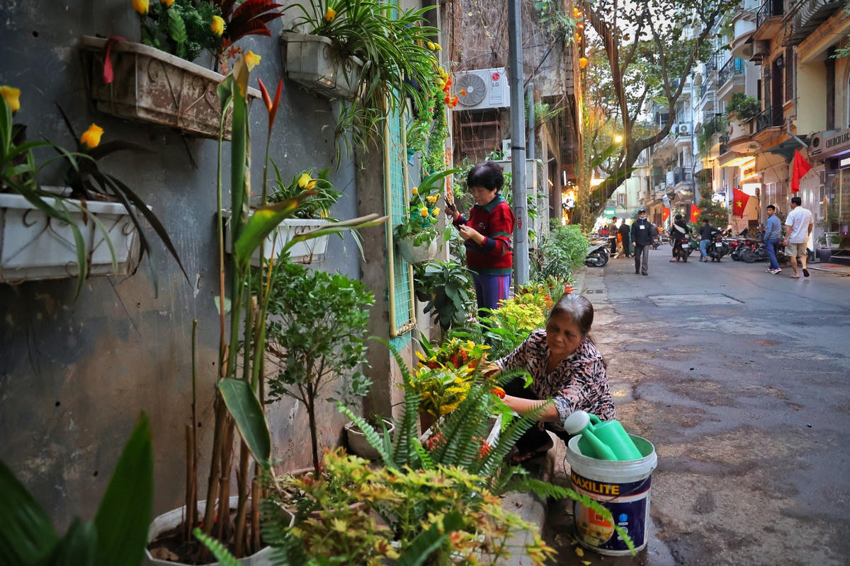  Bên cạnh đó là vận động nhân dân trang trí hoa, cây cảnh trên ban công tại các hộ gia đình trên các tuyến phố chính.