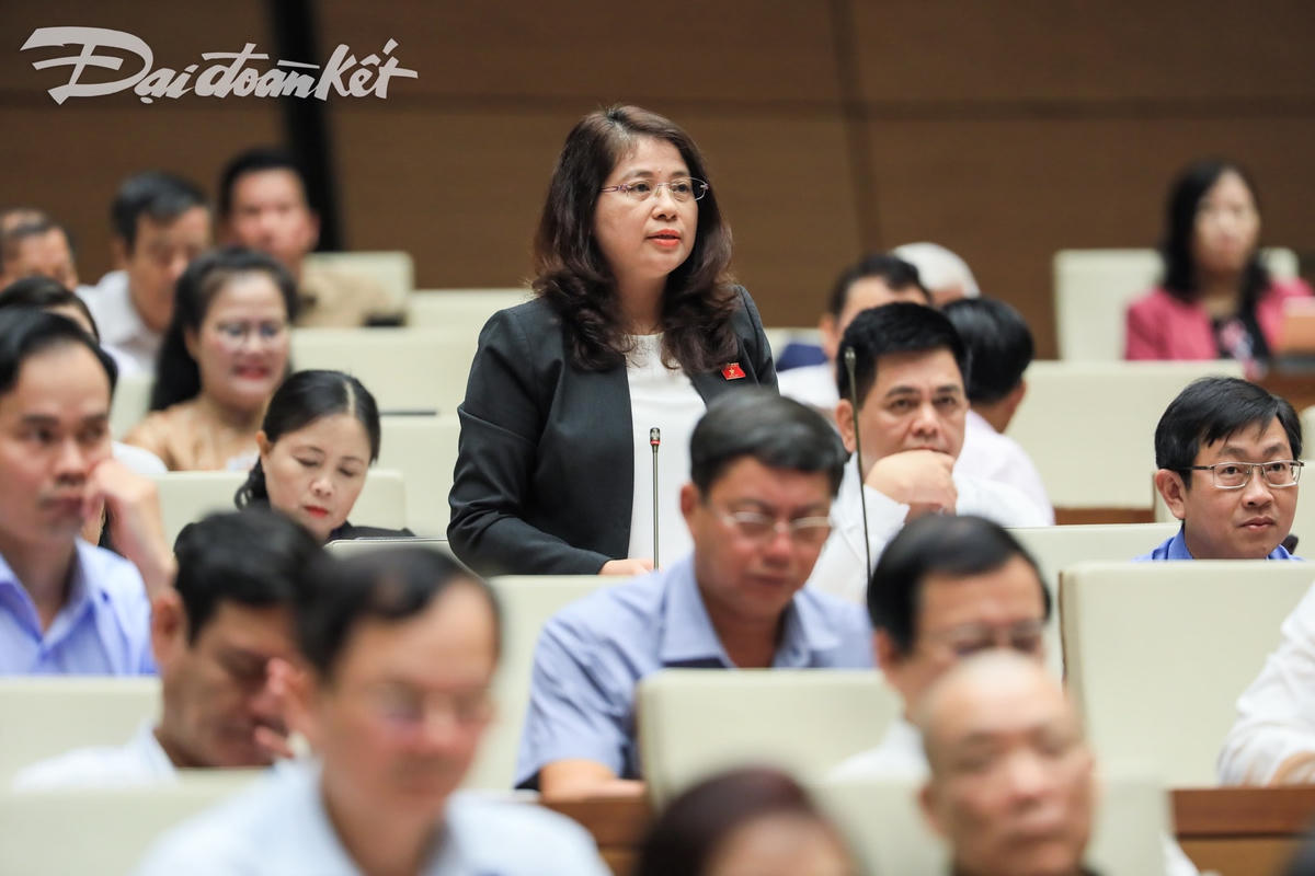 Bà Trần Hồng Nguyên chất vấn. (Ảnh: Quang Vinh).