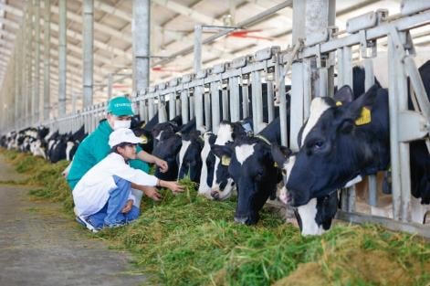 Những khoảnh khắc đẹp trên hành trình của Quỹ sữa Vươn cao Việt Nam năm thứ 15