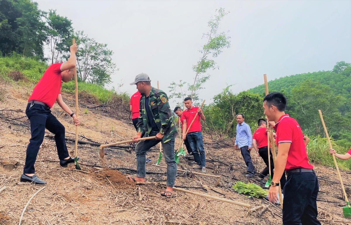 SEABANK TRAO TẶNG GẦN 154.000 CÂY XANH ỦNG HỘ TRỒNG RỪNG VÀ PHÁT TRIỂN KINH TẾ TẠI HÀ TĨNH