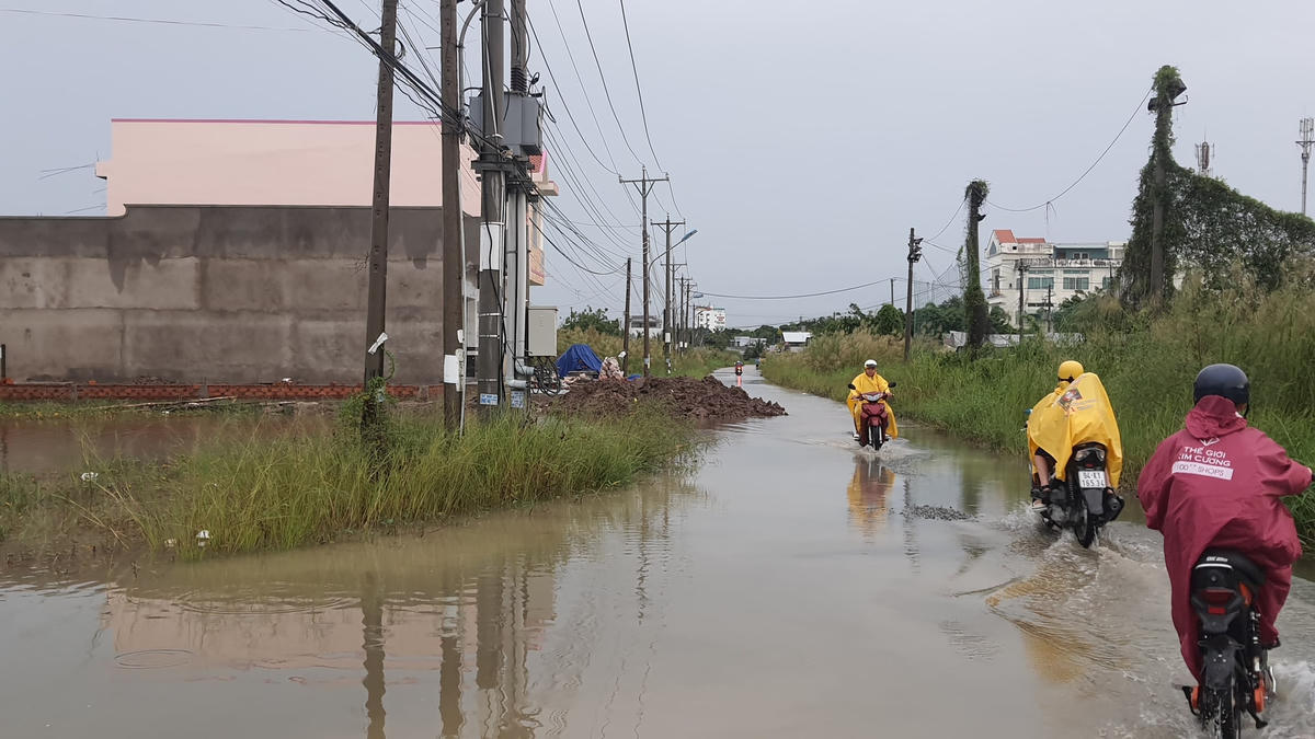 Phụ huynh ở Khu dân cư Thiên Long phường 5 đưa con em đi học phải nính thở đi qua những con đường biến thành sông không phân biệt đâu là đường đâu là ao, đìa bởi khắp nơi nước ngập bủa vây.