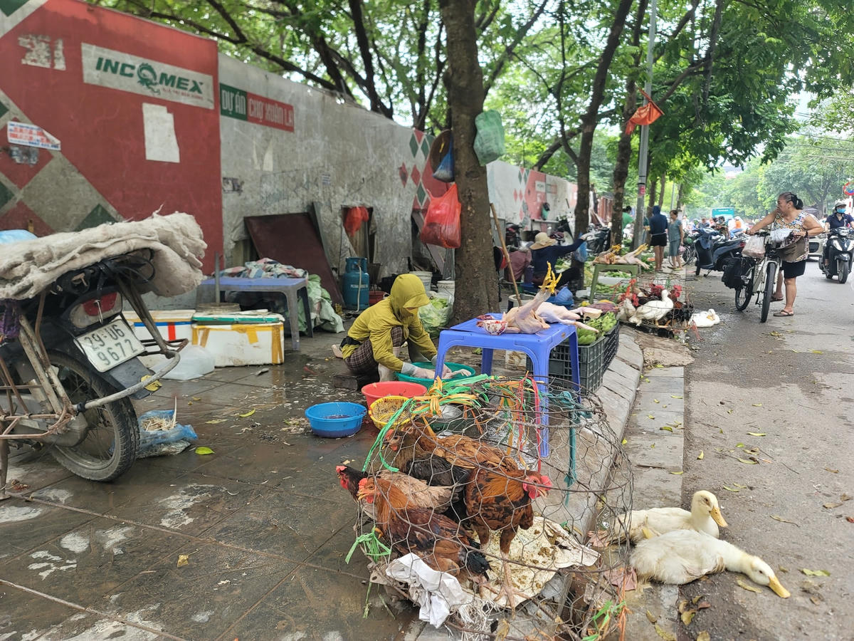 Hà Nội: Điểm khai thác đỗ xe, hàng quán, họp chợ 'xâu xé' hè phố
