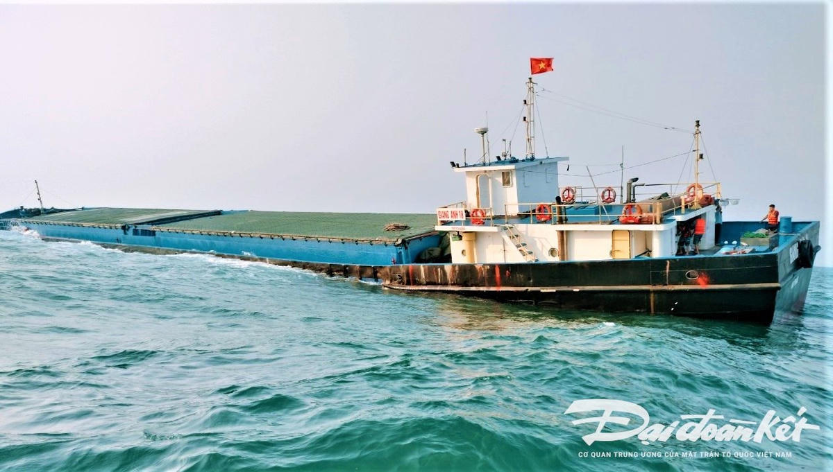 tau-hang-2.jpg