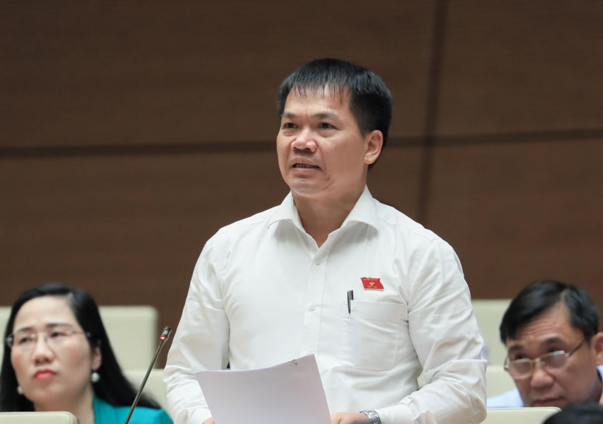 Giá đất không sát thị trường: 'Tài sản Nhà nước sẽ chuyển thành tài sản tư nhân'