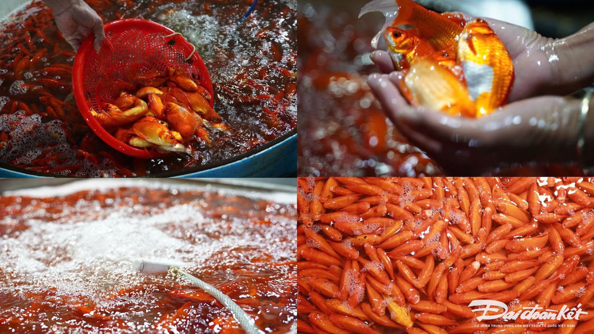 Thiết kế chưa có tên