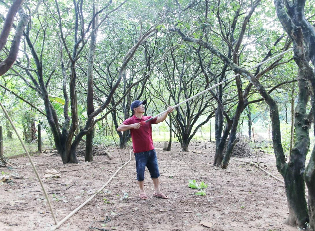 anhbaiduoi.jpg