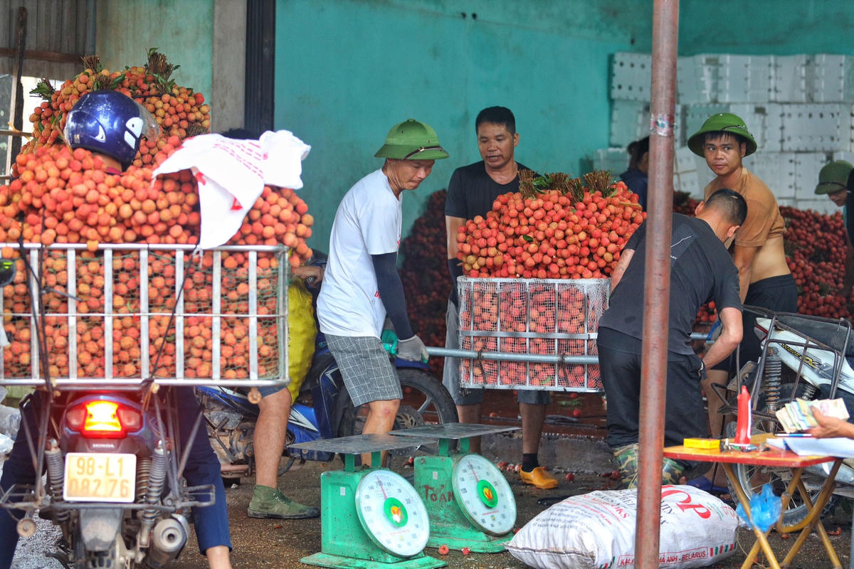 Một điểm cân vải thiều.  