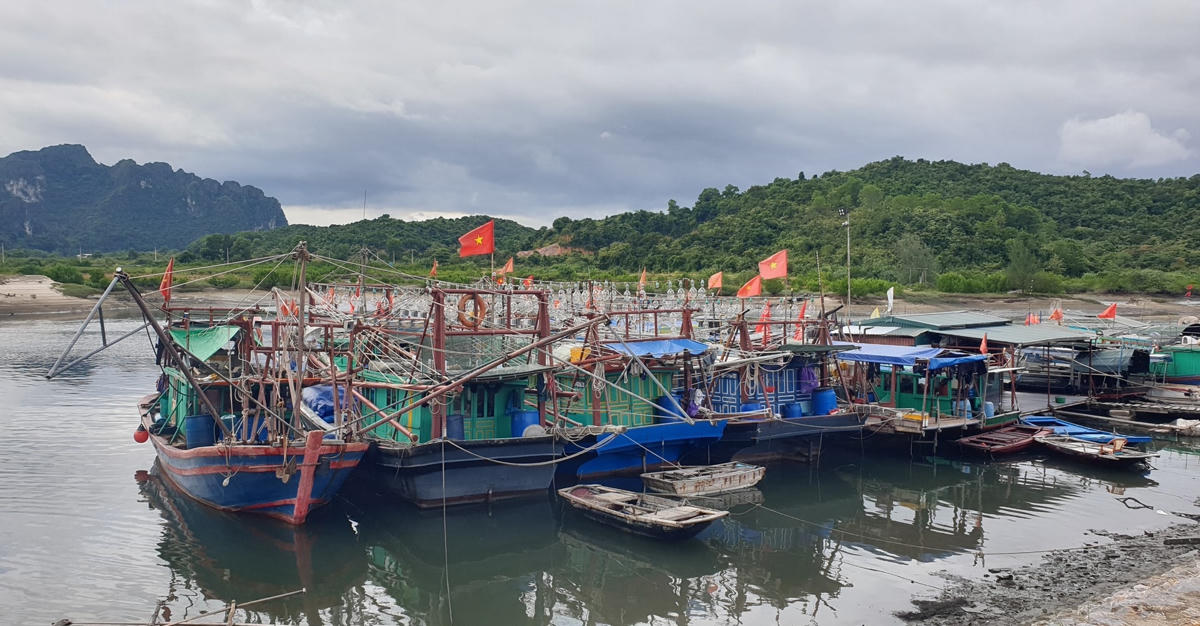 Ngay từ đầu giờ chiều nay (19/10), các tàu thuyền lớn nhỏ đã nhanh chóng cập bến Cái Xà Cong để neo đậu.