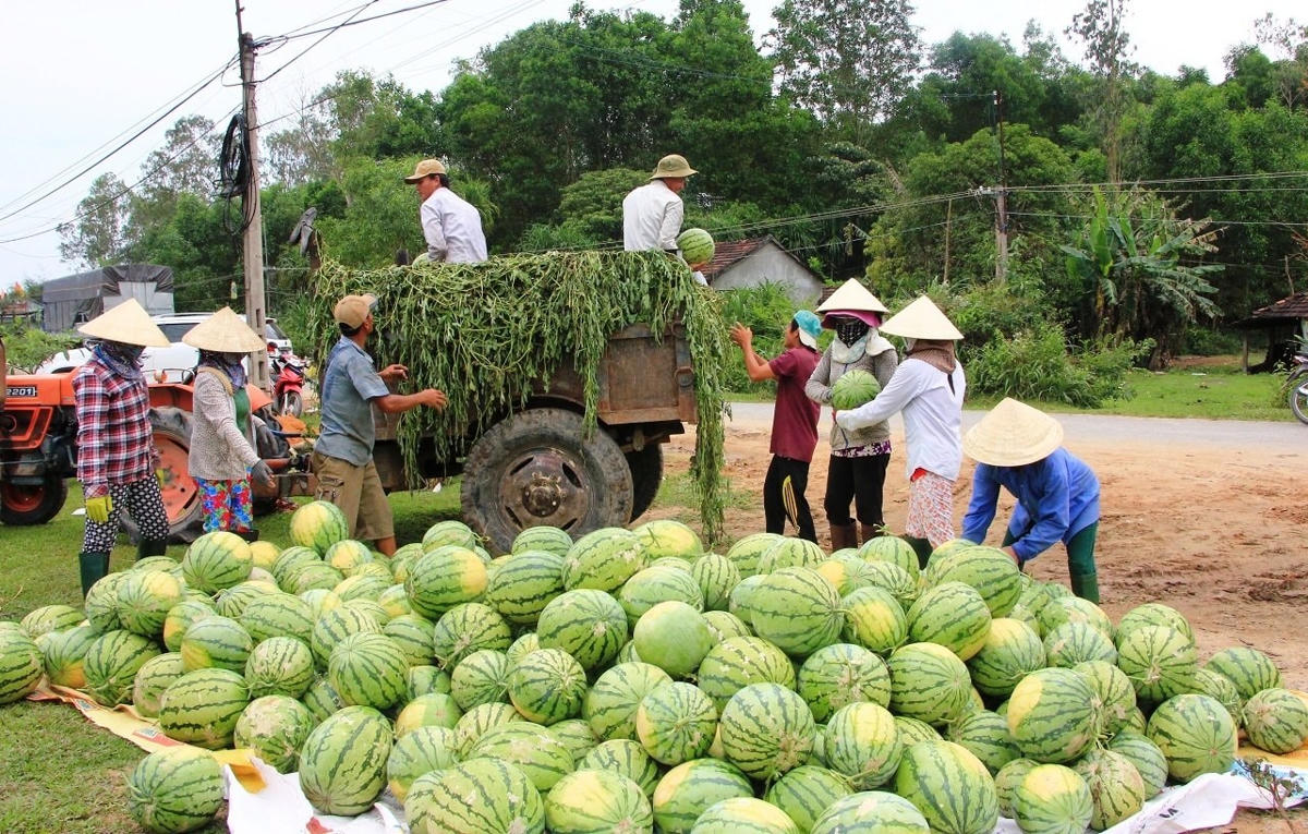 Người dân Sơn Tịnh an tâm làm ăn khi ANTT đảm bảo.