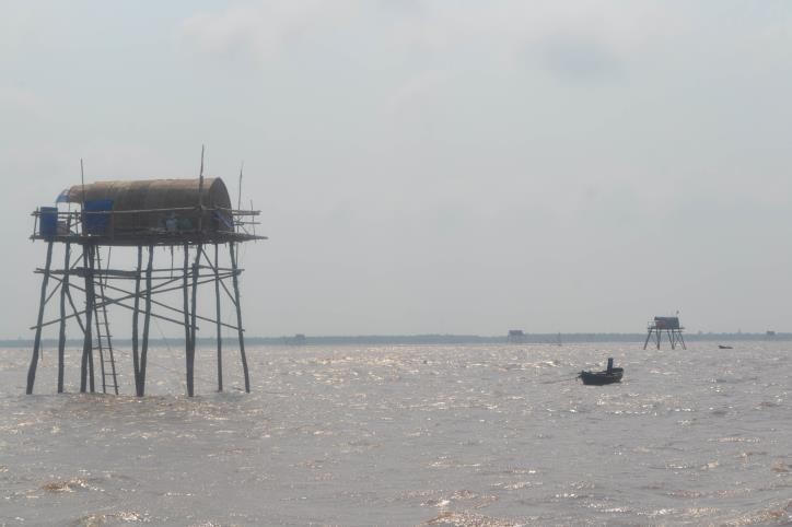 Vùng bãi triều ven biển tỉnh Thái Bình.