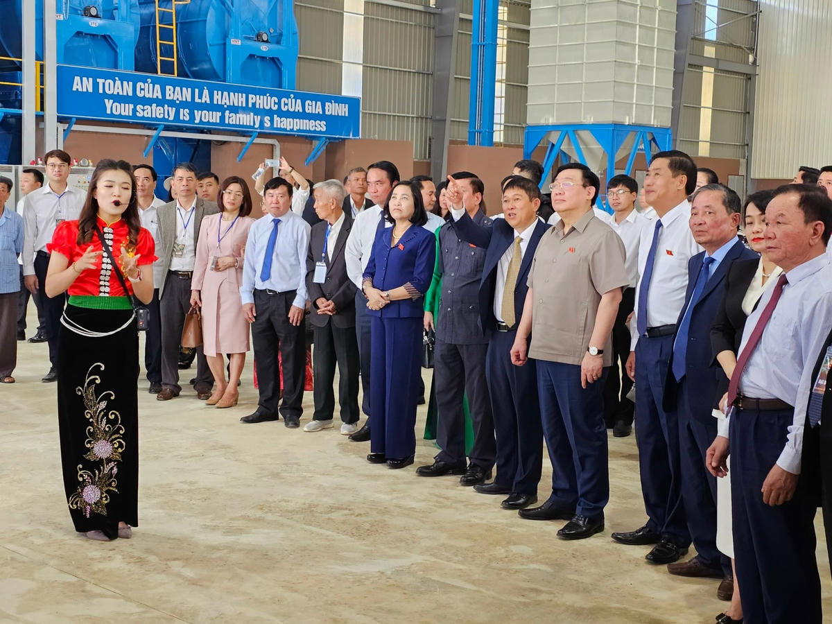 Và tham quan dây chuyền sản xuất, chế biến tại nhà máy.