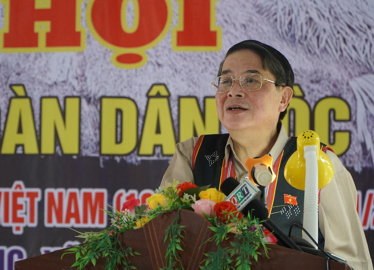 Ông Nguyễn Đức Hải, Phó Chủ tịch Quốc hội phát biểu tại Ngày hội.