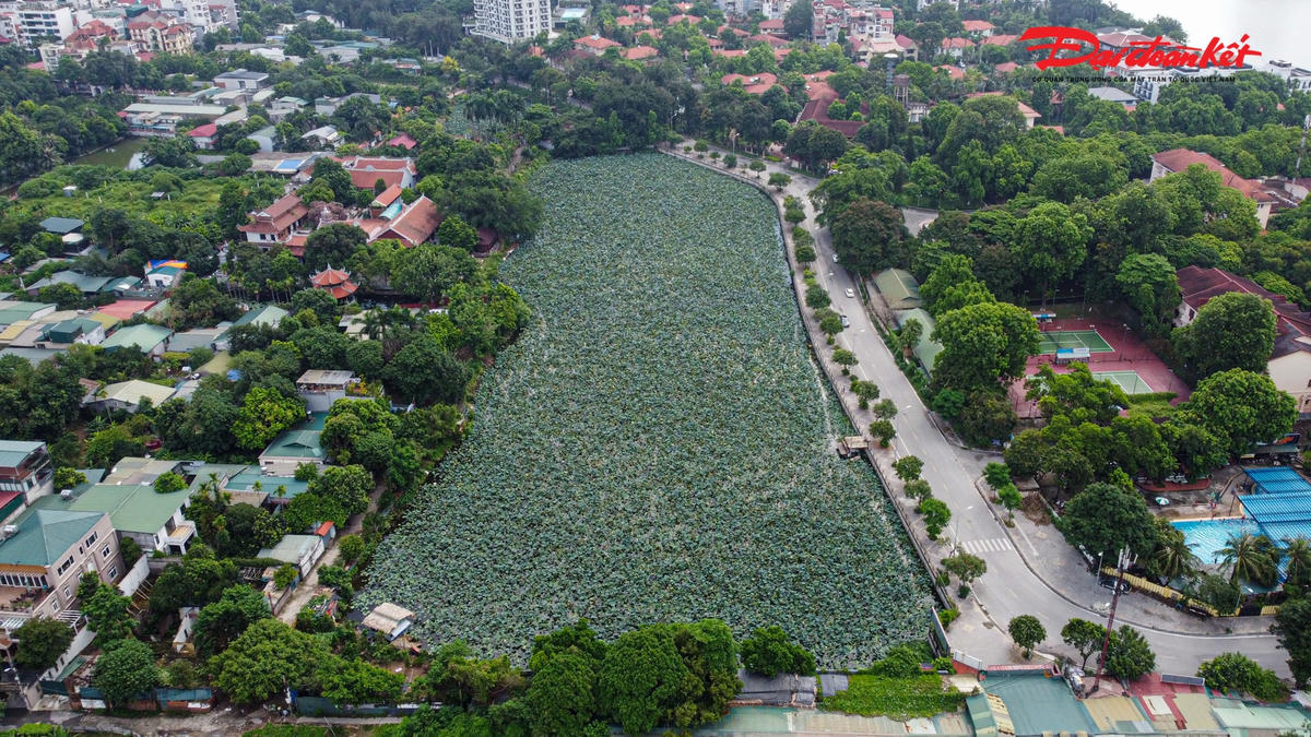 Cùng với đó là khu vực phát triển thương mại, dịch vụ, khách sạn phục vụ du lịch nghỉ dưỡng đảm bảo các tiêu chuẩn theo quy định hiện hành.