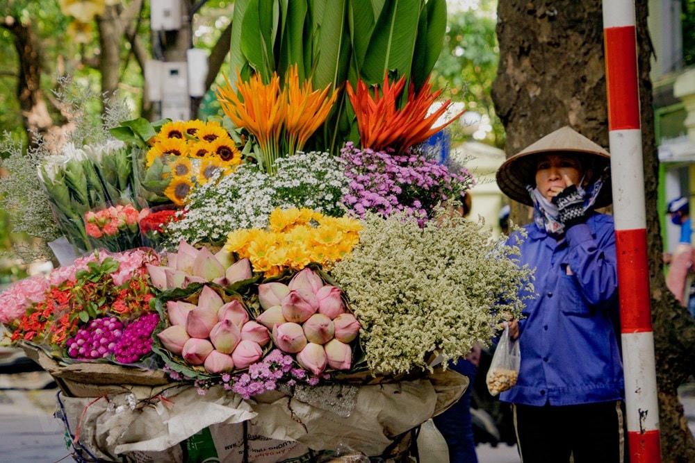 Mùa thu với những sắc hoa đặc trưng. Ảnh: TTXVN.