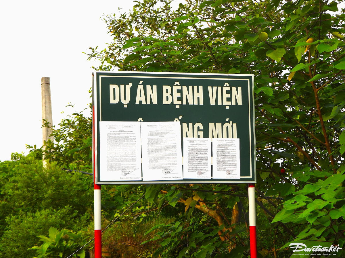 dscn0265.jpg