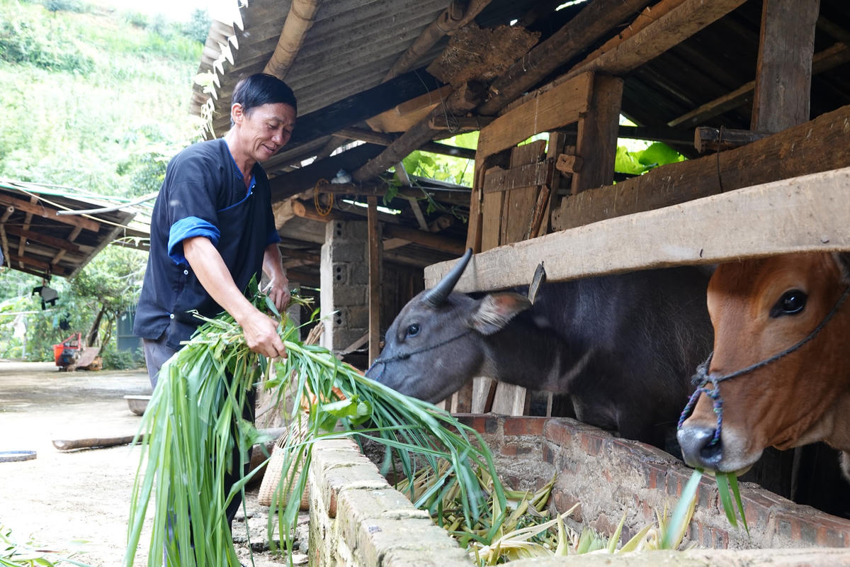 Những mô hình hỗ trợ sinh kế là điểm tựa giúp các hộ nghèo vượt khó vươn lên.