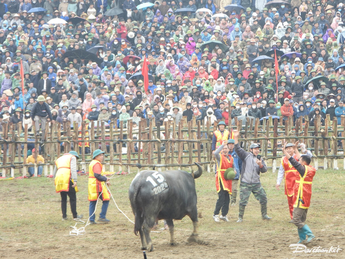 W_dscn8855.jpg