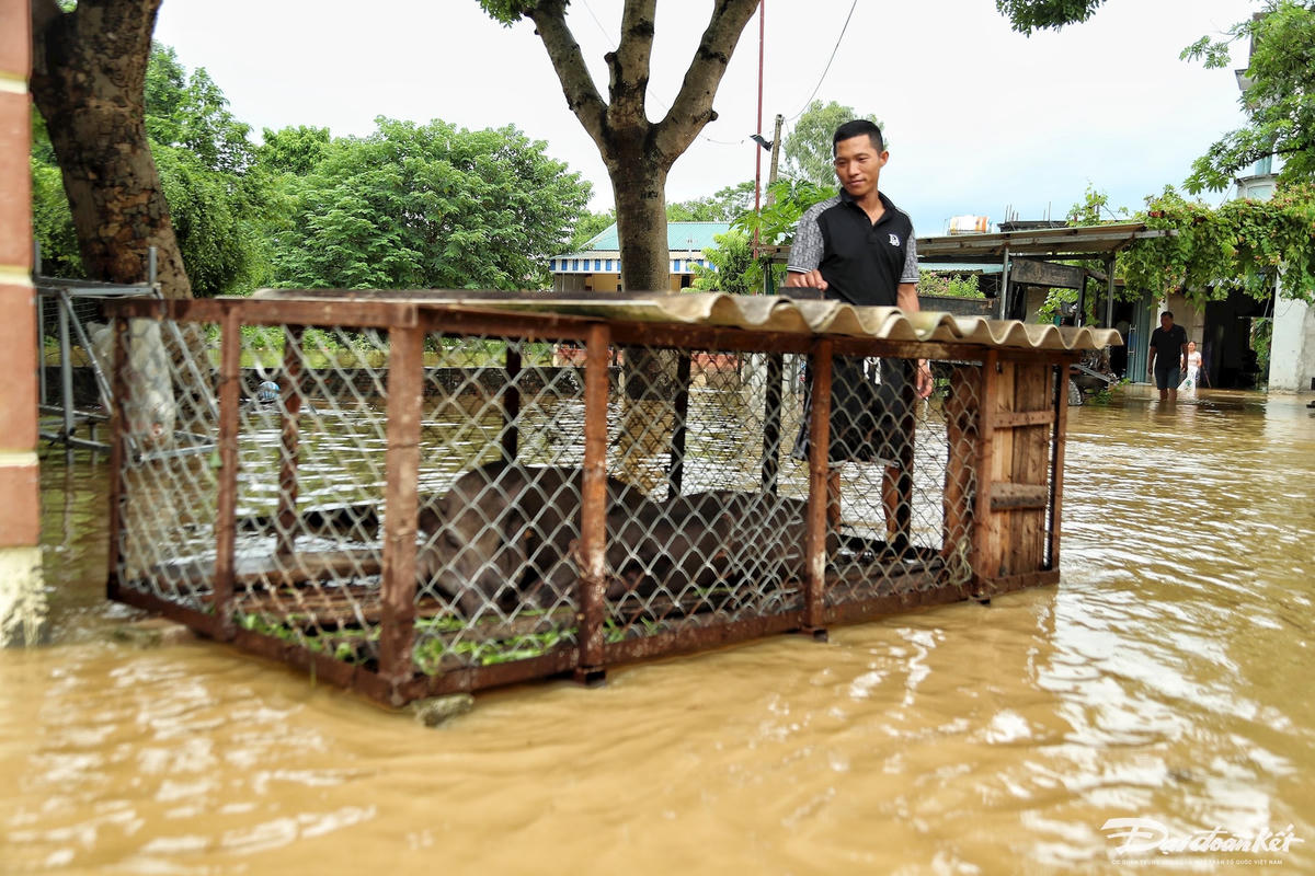 ngap_ung_o_ngoai_thanh_ha_noi-le-khanh22.jpg
