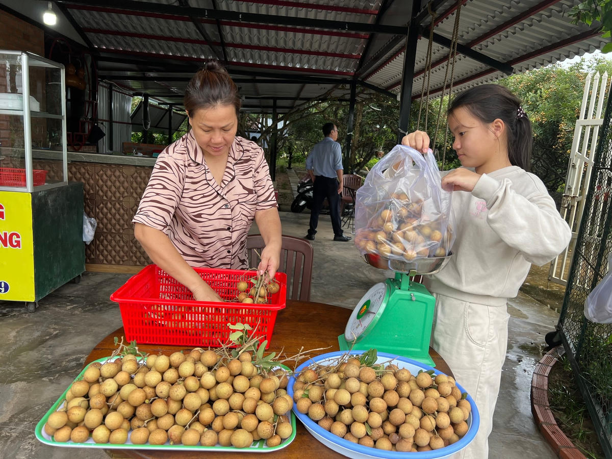 Người dân bán nhãn cho du khách.  
