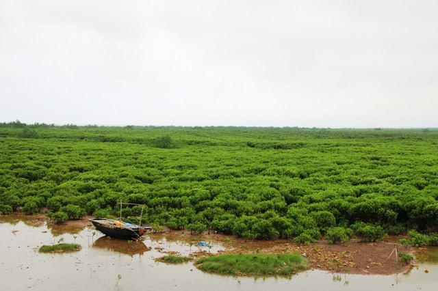 Vườn Quốc gia Xuân Thủy.
