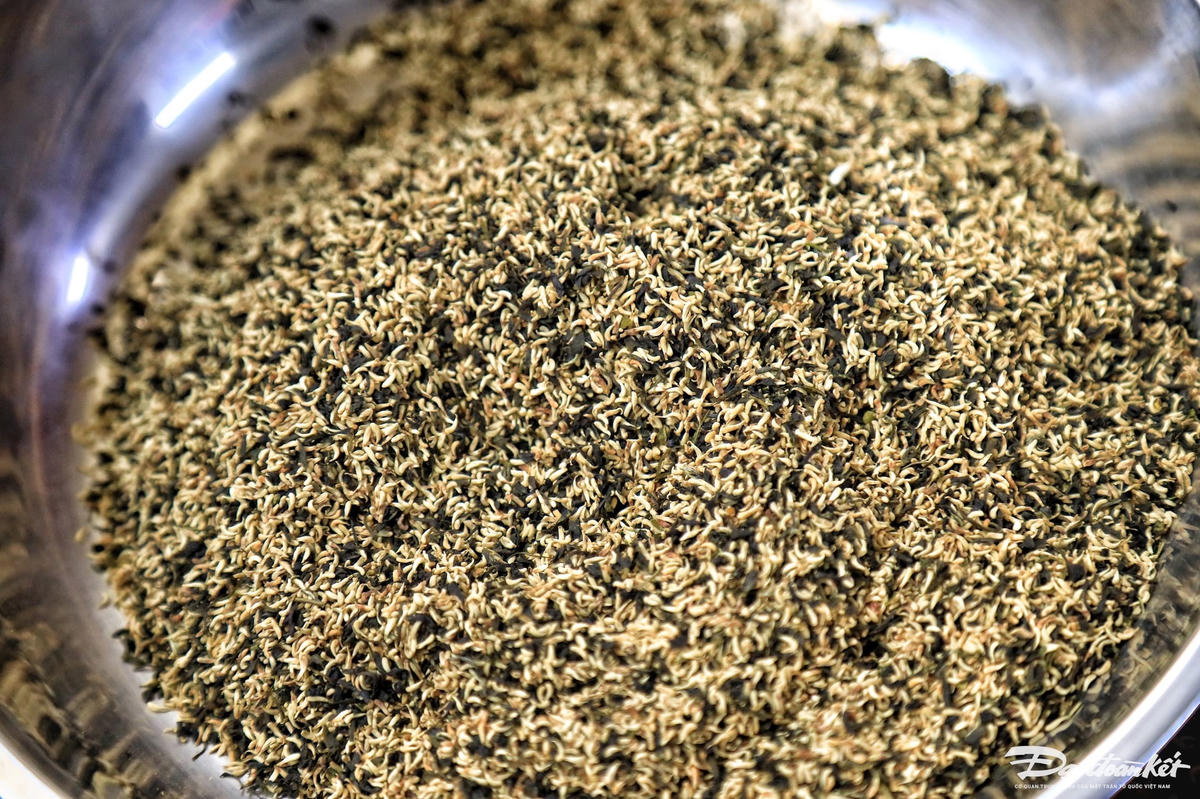 tra_sen-le-khanh10.jpg