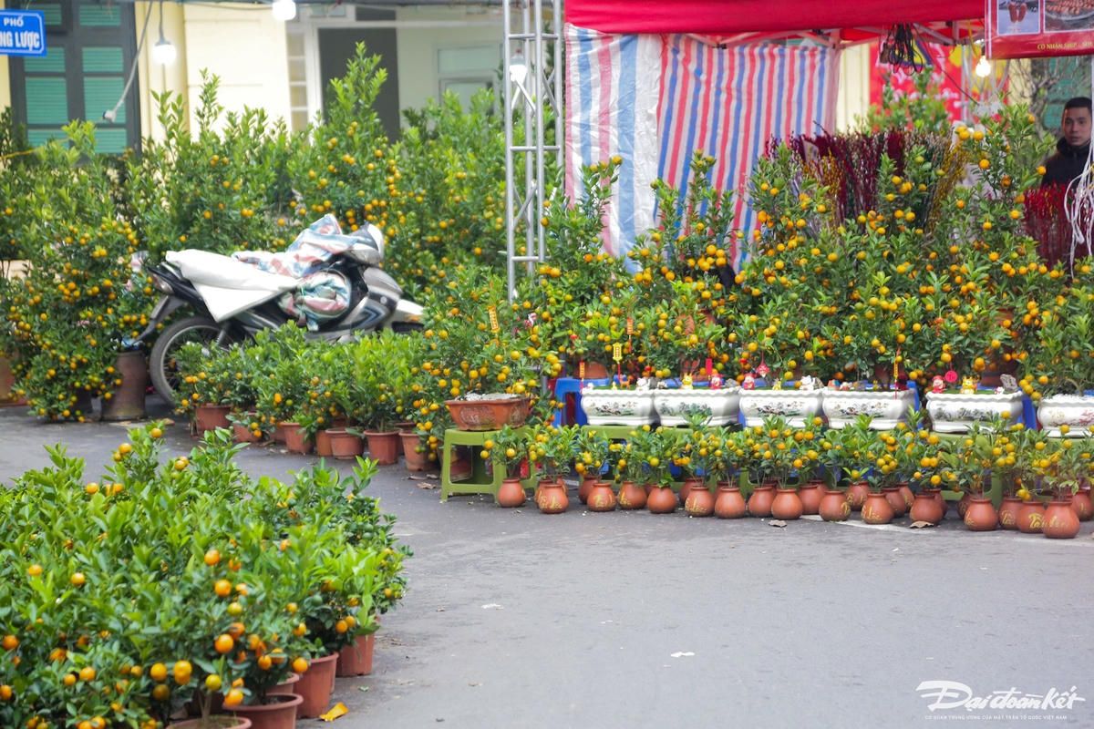 W_pho_hang_luoc-le-khanh17.jpg