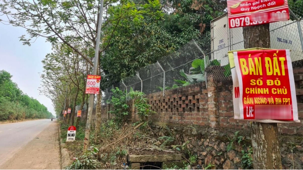 Giá đất thực tế được các “cò” rao lên gấp hàng chục lần giá trong bảng giá đất của các địa phương.