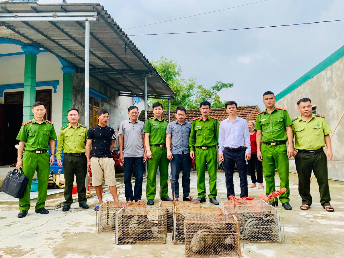 Toàn bộ số cầy vời hương được bàn giao cho Vườn Quốc gia Vũ Quang.
