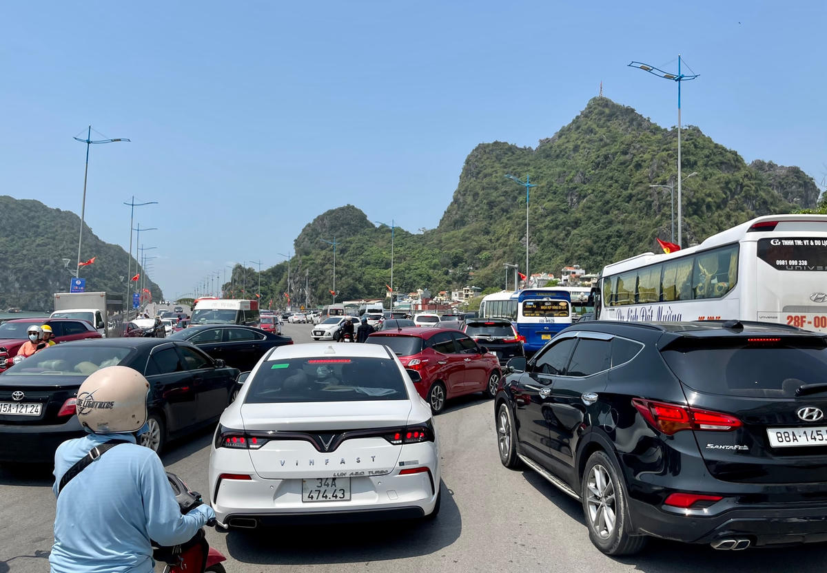 Nhiều du khách đổ về chợ đầu mối của thành phố (nằm trên địa bàn phường Bạch Đằng, cạnh Vincom Plaza Hạ Long) để mua hải sản về làm quà.