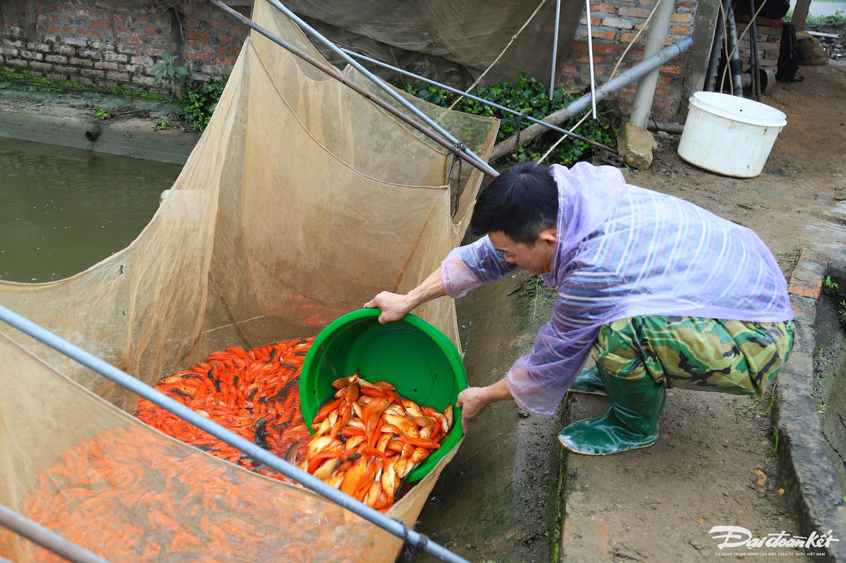 W_lang_ca_chep_phu_tho-le-khanh8.jpg