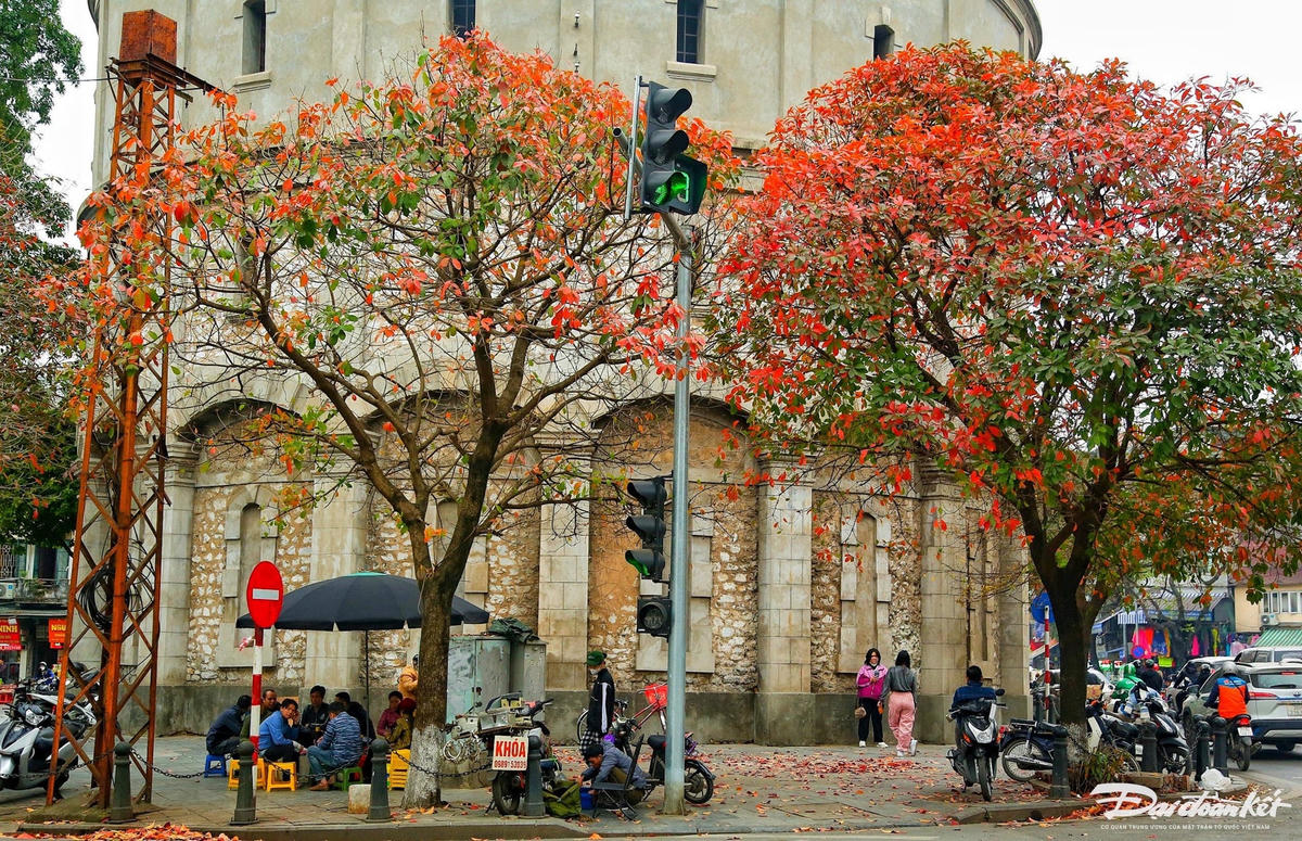 W_ha_noi_mua_la_do-le-khanh5.jpg