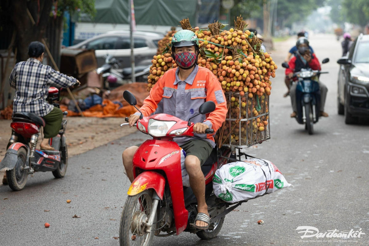 ban_vai-le-khanh12.jpg