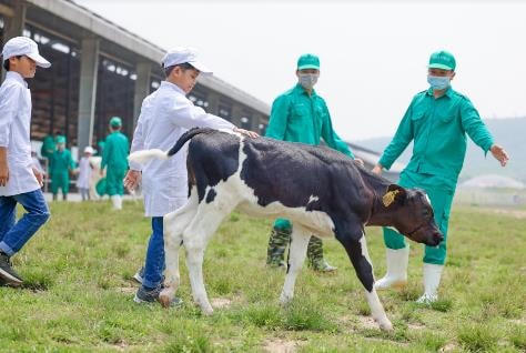 Những khoảnh khắc đẹp trên hành trình của Quỹ sữa Vươn cao Việt Nam năm thứ 15