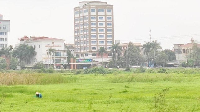 UBND tỉnh Thanh Hoá huỷ bỏ kết quả sơ tuyển nhà đầu tư đối với 5 dự án để lựa chọn lại nhà đầu tư nhằm bố trí quỹ đất xây dựng nhà ở xã hội. Ảnh: BXD.