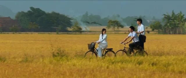 anh thay 8