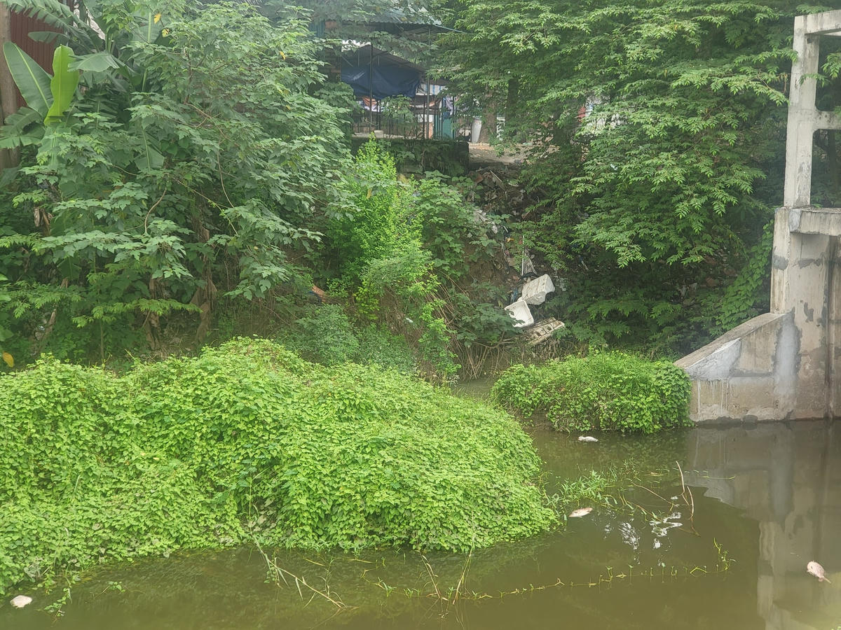 Nơi dự án triển khai thành điểm ao tù nước đọng, cá chết gây ô nhiễm cho người dân. Ảnh: Quang Lộc.