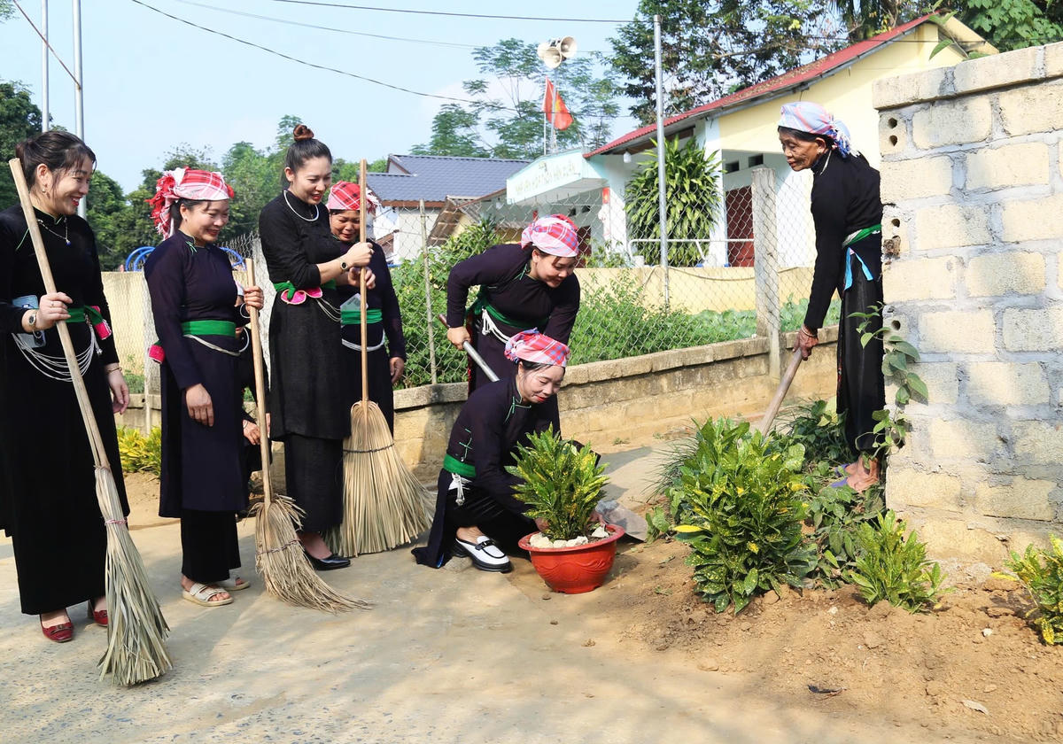 bai chinh