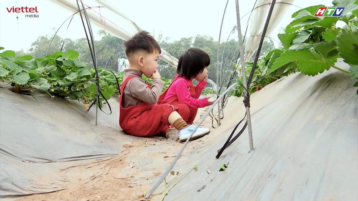 Đu Đủ và Dừa thích thú trải nghiệm các hoạt động vui chơi ngoài trời. 