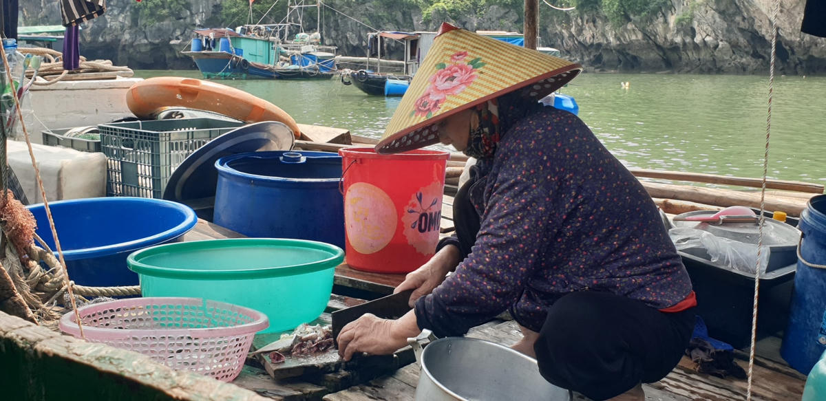 Nhiều hộ không có nhà ở trên đất liền, phải sống trên những chiếc tàu, thuyền nhỏ neo đậu mép núi đá. Ảnh: Nguyễn Quý.
