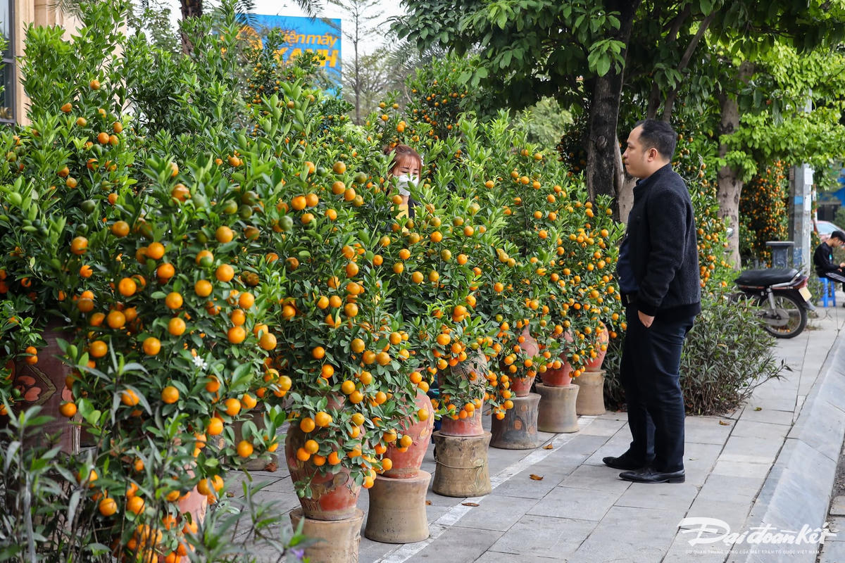 W_quyt-hinh-rong_le-khanh9.jpg