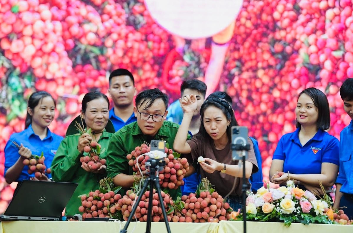 Chỉ với chiếc điện thoại thông minh, các bạn trẻ có thể “chốt đơn” hàng tấn nông sản qua mỗi buổi livestream.