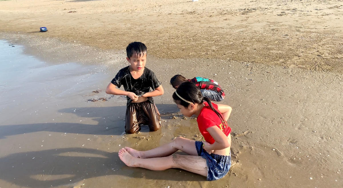 Hà Tĩnh: Hàng trăm du khách tắm biển 'hoảng hồn' chạy lên bờ gãi ngứa vì gặp... sứa độc