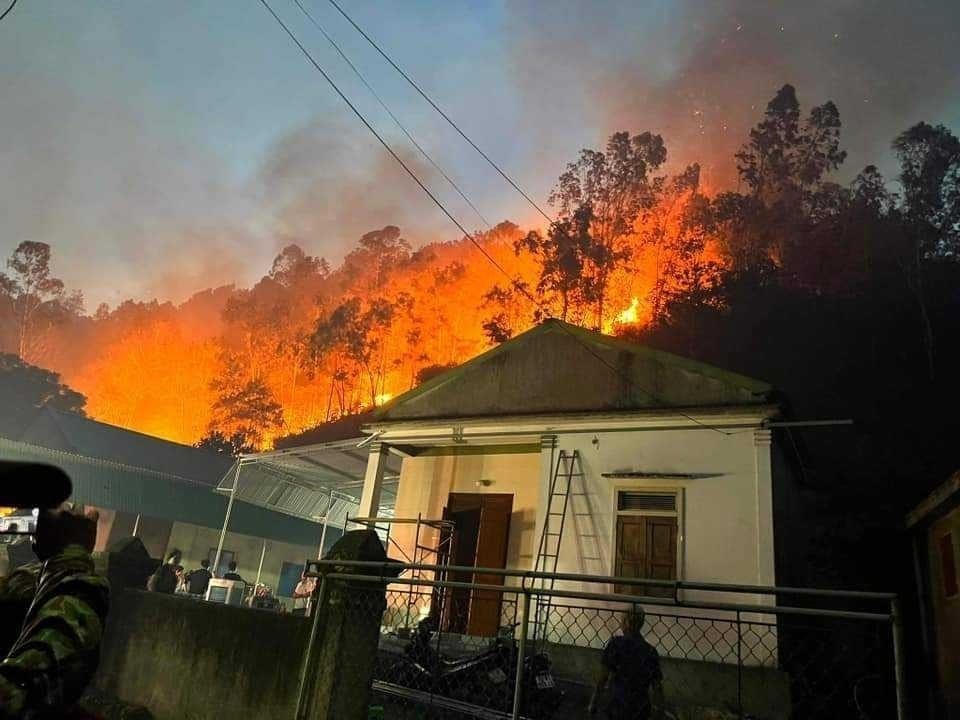 Ngọn lửa không chỉ khiến hàng trăm héc ta rừng thông bị thiêu rụi, mà còn uy hiếp tới nhiều nhà dân xung quanh.