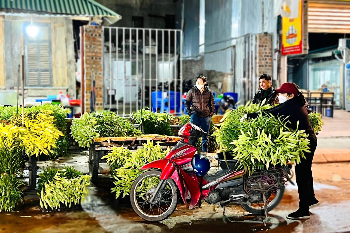 Sau khi hái hoa, đa phần các loài hoa này được các tiểu thương tại chợ hoa Quảng Bá (Tây Hồ, Hà Nội) sẽ mua về và bán lại cho các cửa hàng hoa, người dân...