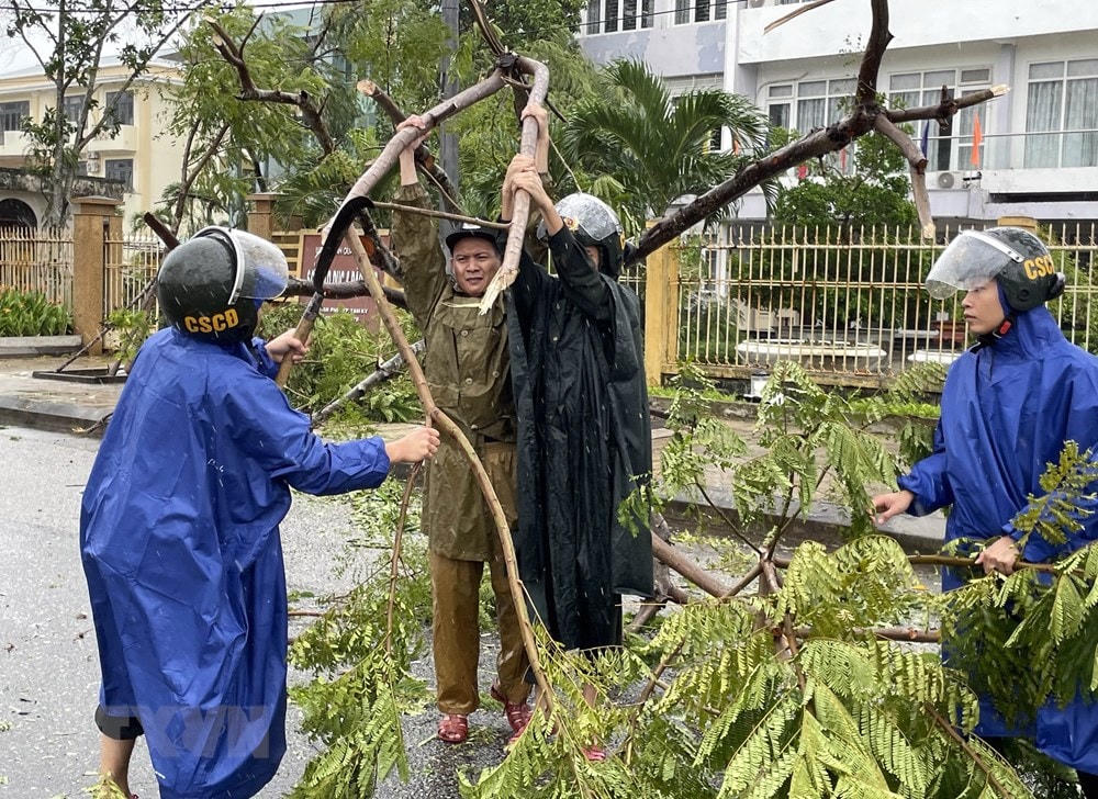 Lực lượng chức năng thu dọn cây cối ngã đổ trên đường. (Ảnh: Trần Tĩnh/TTXVN)