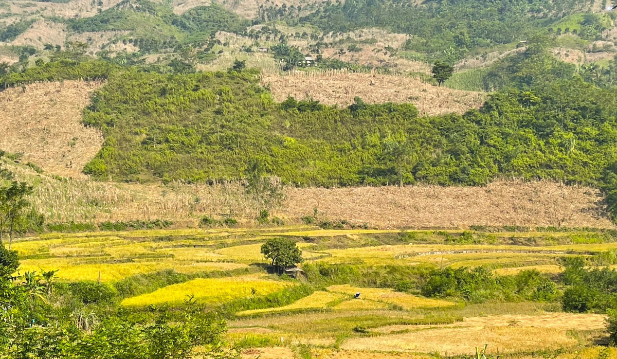 Đường vào thác đi qua những thửa ruộng bậc thang.