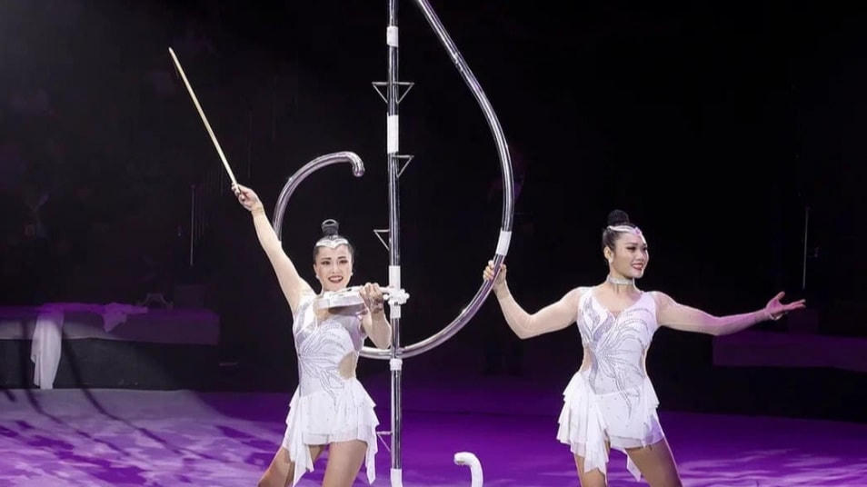 Tiết mục "Đu son" giành giải Vàng tại Liên hoan Xiếc quốc tế năm 2022 được nhận xét là có sự đầu tư từ động tác đến kỹ thuật, đòi hỏi diễn viên xiếc phải biến hóa liên tục. 